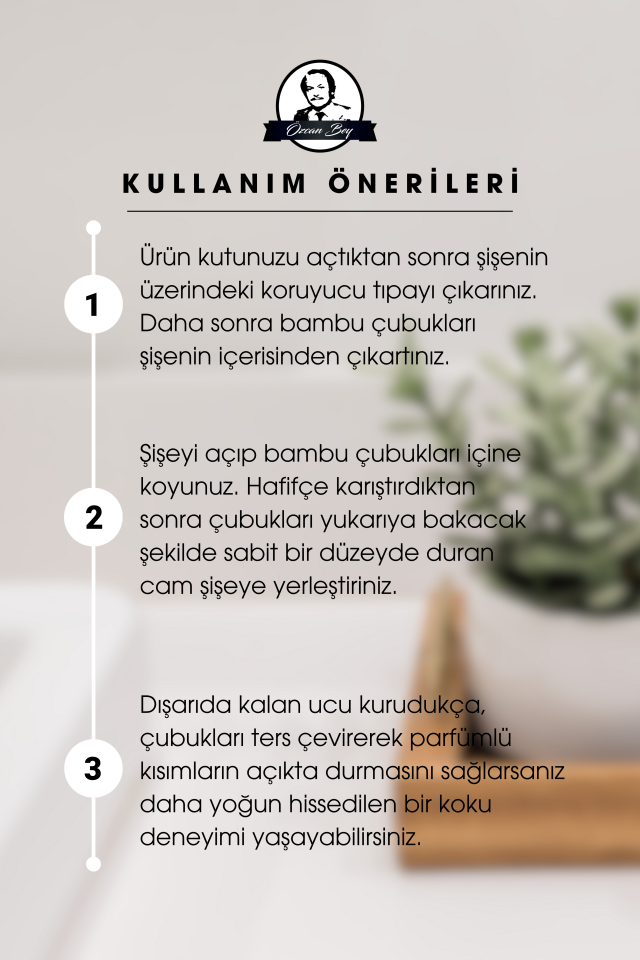 Yaz Rüzgarı Kokulu Çubuklu Oda Kokusu 50ml Dekoratif Cam Şişe