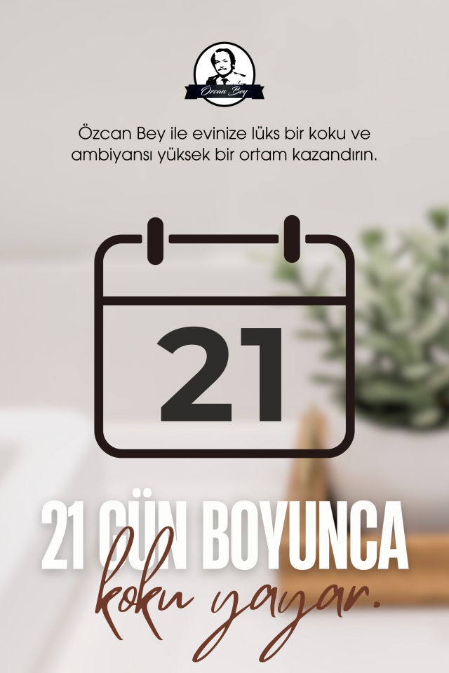 Bahar Rüzgarı Kokulu Çubuklu Oda Kokusu 50ml Dekoratif Cam Şişe