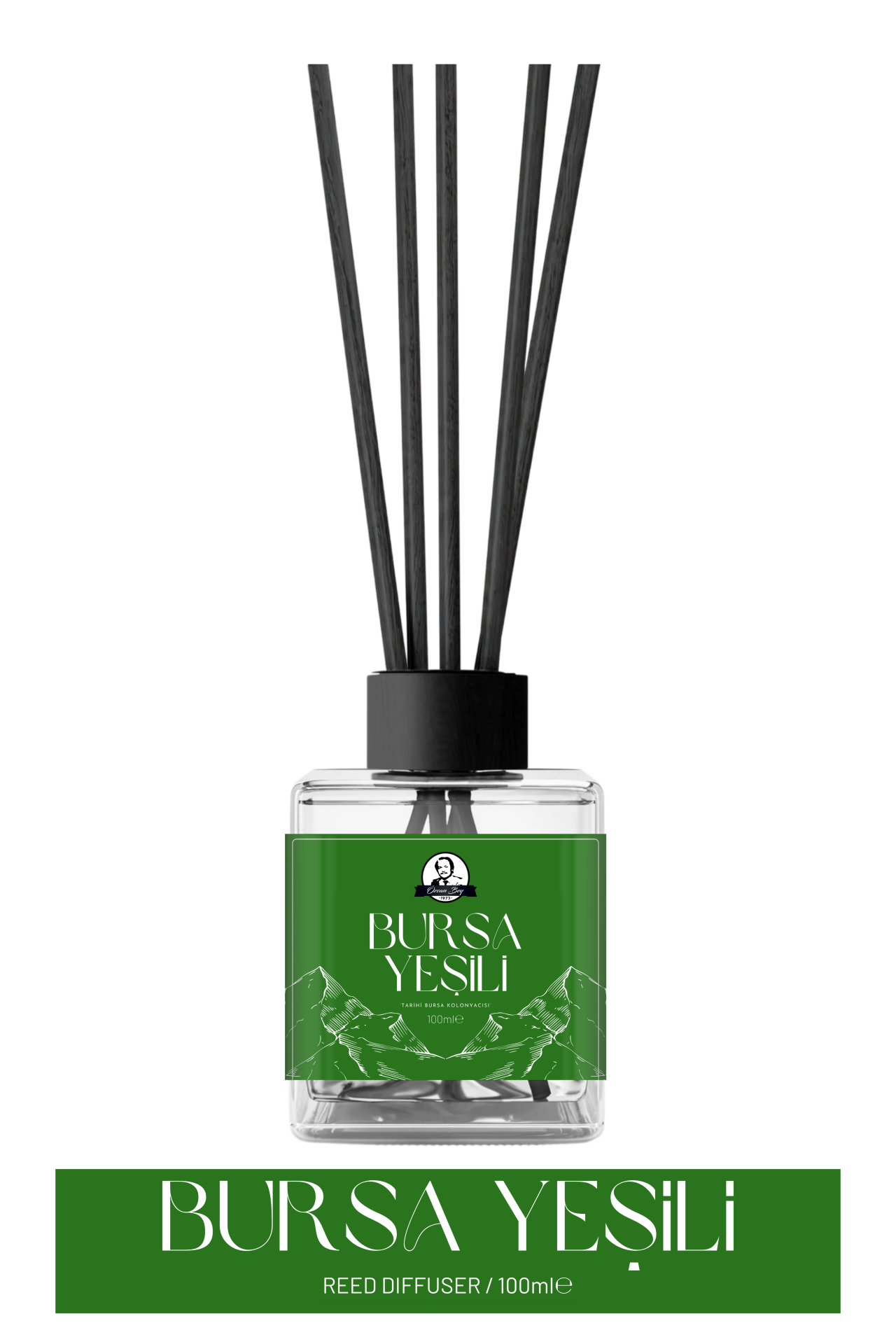 Bursa Yeşili Çubuklu Oda Kokusu Sandal Ağacı Aromalı Ortam Kokusu 100ml Dekoratif Cam Şişe