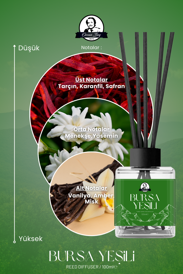 Bursa Yeşili Çubuklu Oda Kokusu Sandal Ağacı Aromalı Ortam Kokusu 100ml Dekoratif Cam Şişe