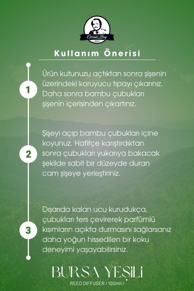 Bursa Yeşili Çubuklu Oda Kokusu Sandal Ağacı Aromalı Ortam Kokusu 100ml Dekoratif Cam Şişe