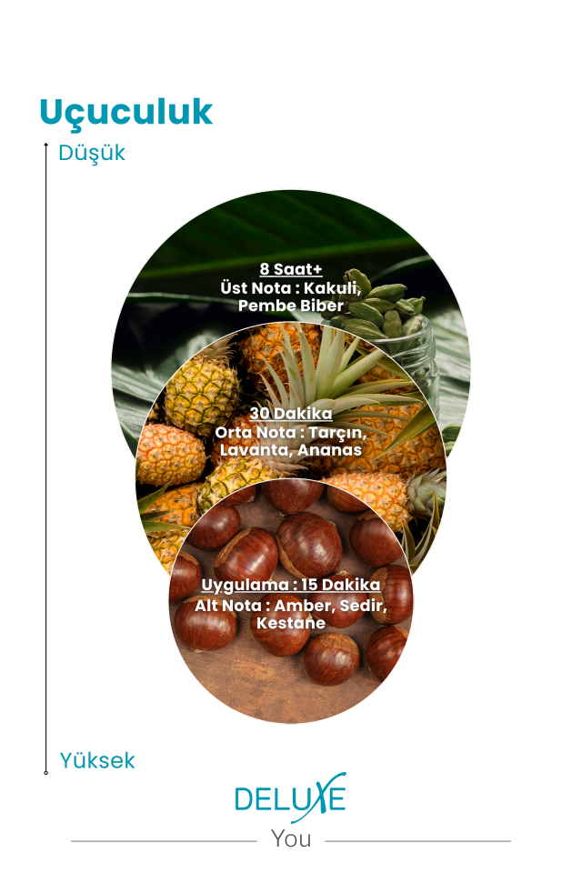 You EDP Erkek Parfüm 100ml | Meyveli, Taze | Tarçın, Lavanta, Ananas, Amber, Sedir