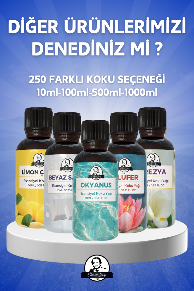 Nefes Açıcı Nane Ve Okaliptüs Esansiyel Uçucu Koku Yağı Buhurdanlık Yağı Difüzör Esansı Küre 10ml