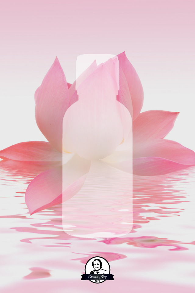 Lotus Nilüfer Çiçeği Kokulu Esansiyel Uçucu Koku Yağı Buhurdanlık Yağı Difüzör Esansı Küre 10ml
