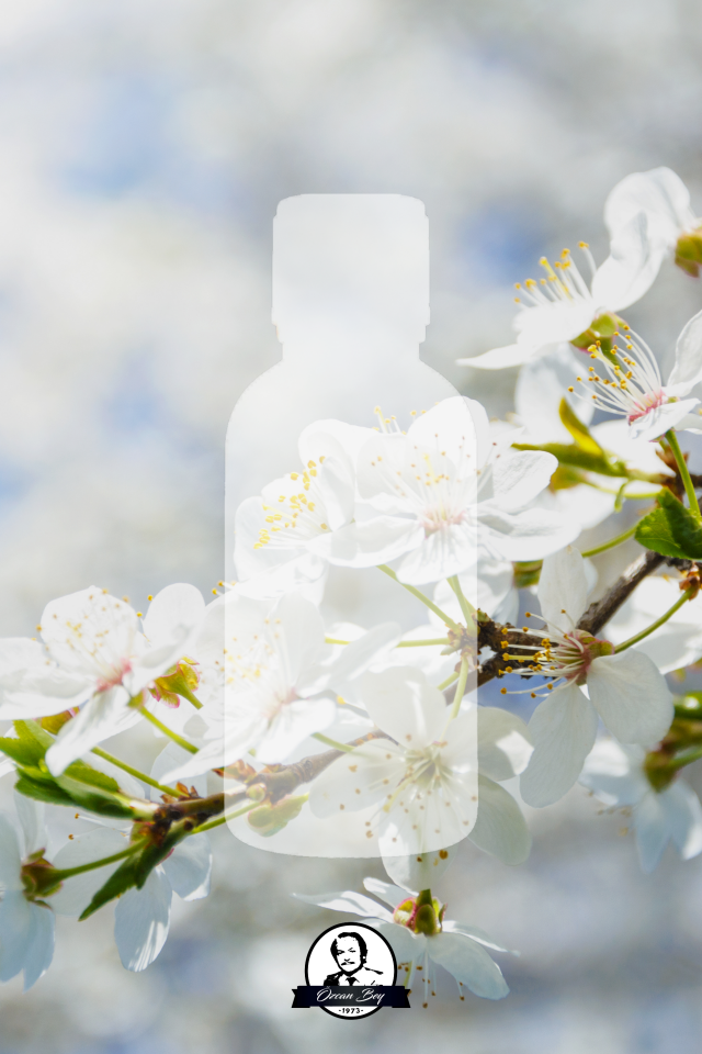Beyaz Çay Esansiyel Uçucu Koku Yağı White Tea Buhurdanlık Yağı Difüzör Esansı Küre 10ml