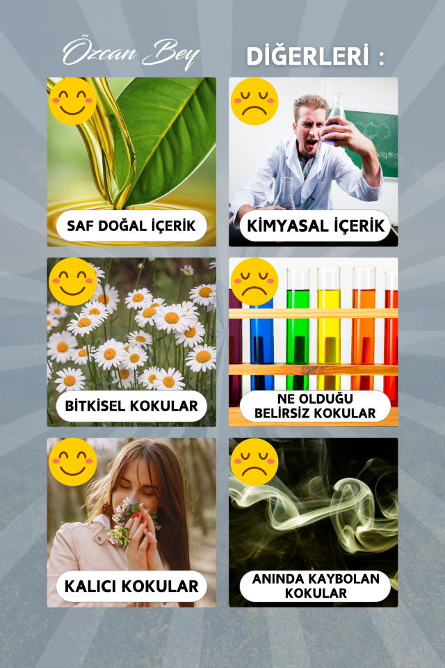 Beyaz Çay Esansiyel Uçucu Koku Yağı White Tea Buhurdanlık Yağı Difüzör Esansı Küre 10ml