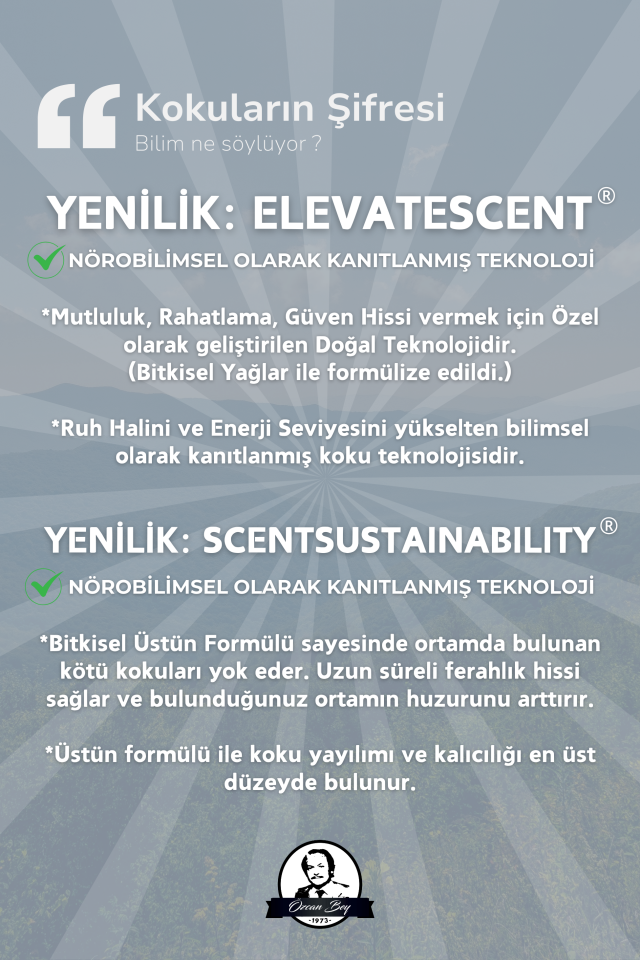 Beyaz Çay Esansiyel Uçucu Koku Yağı White Tea Buhurdanlık Yağı Difüzör Esansı Küre 10ml