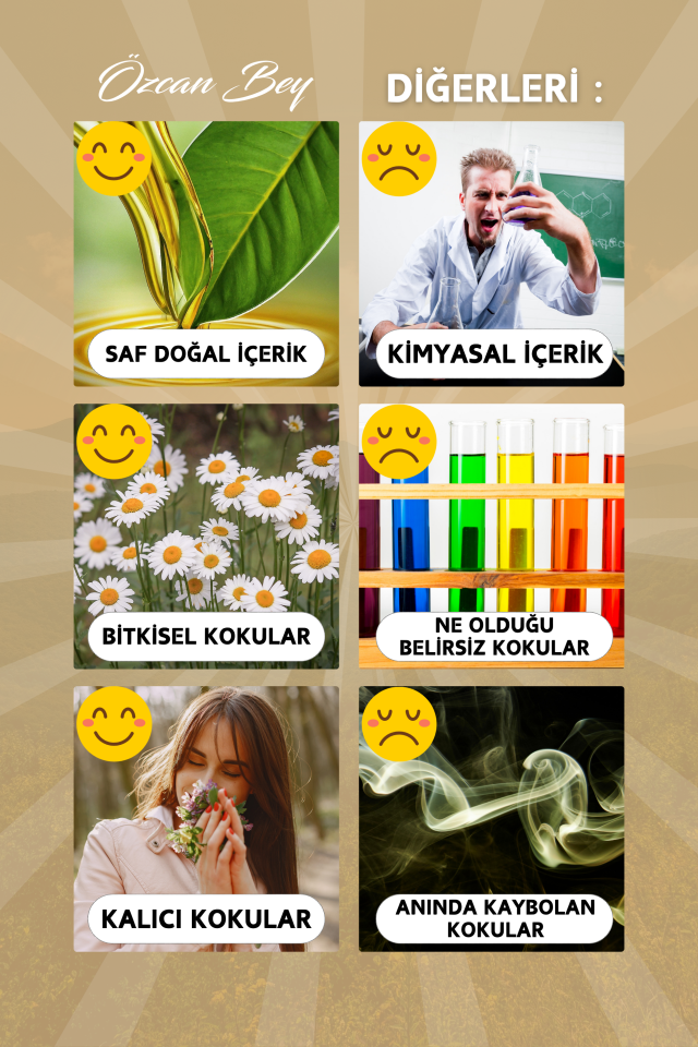 Şakayık Çiçeği Esansiyel Uçucu Koku Yağı Peony Buhurdanlık Yağı Difüzör Esansı Küre 10ml