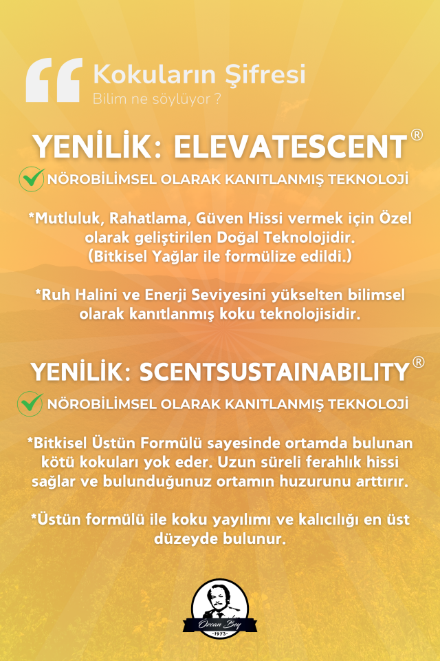 Mandalina Kokulu Esansiyel Uçucu Koku Turunçgiller Yağı Buhurdanlık Yağı Difüzör Esansı Küre 10ml