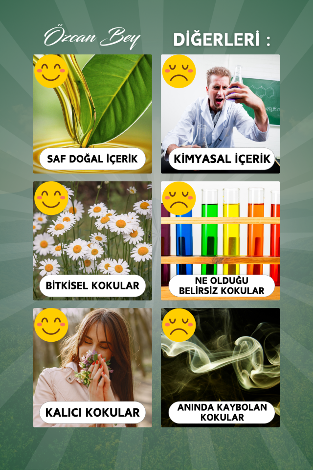 Doğadan Avantaj Seti Saf Esansiyel Uçucu Yağ Buhurdanlık Yağı Difüzör Esansı Aromaterapi 6x 10ml