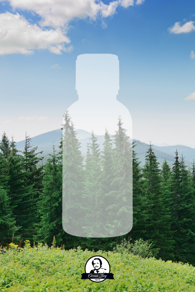 Doğadan Avantaj Seti Saf Esansiyel Uçucu Yağ Buhurdanlık Yağı Difüzör Esansı Aromaterapi 10x 10ml