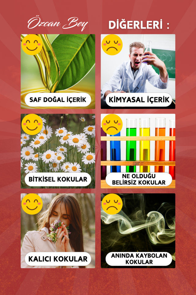 Favori Avantaj Seti Saf Esansiyel Uçucu Yağ Buhurdanlık Yağı Difüzör Esansı Aromaterapi 6x 10ml