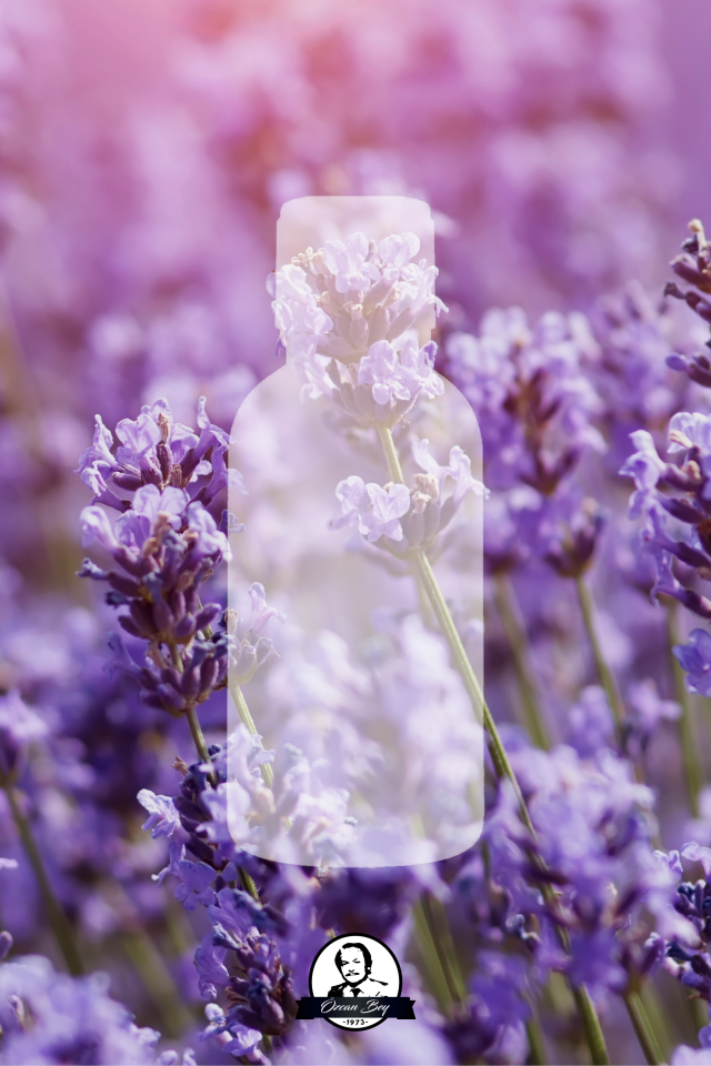 Çiçeksi Avantaj Seti Saf Esansiyel Uçucu Yağ Buhurdanlık Yağı Difüzör Esansı Aromaterapi 6x 10ml