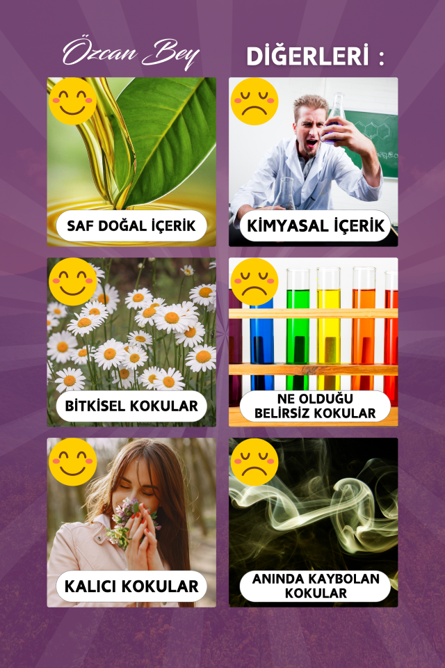 Çiçeksi Avantaj Seti Saf Esansiyel Uçucu Yağ Buhurdanlık Yağı Difüzör Esansı Aromaterapi 6x 10ml