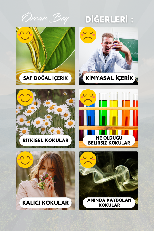 Kış Avantaj Seti Saf Esansiyel Uçucu Yağ Buhurdanlık Yağı Difüzör Esansı Aromaterapi 6x 10ml