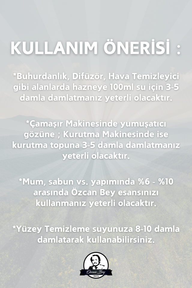 Kış Avantaj Seti Saf Esansiyel Uçucu Yağ Buhurdanlık Yağı Difüzör Esansı Aromaterapi 6x 10ml