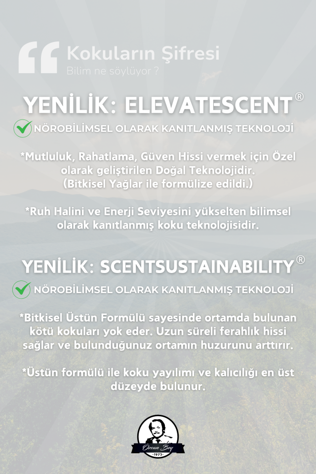 Kış Avantaj Seti Saf Esansiyel Uçucu Yağ Buhurdanlık Yağı Difüzör Esansı Aromaterapi 6x 10ml