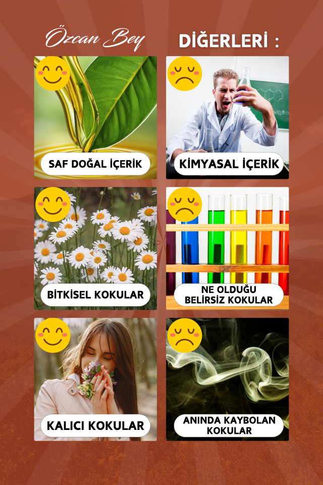 Sonbahar Avantaj Seti Saf Esansiyel Uçucu Yağ Buhurdanlık Yağı Difüzör Esansı Aromaterapi 6x 10ml