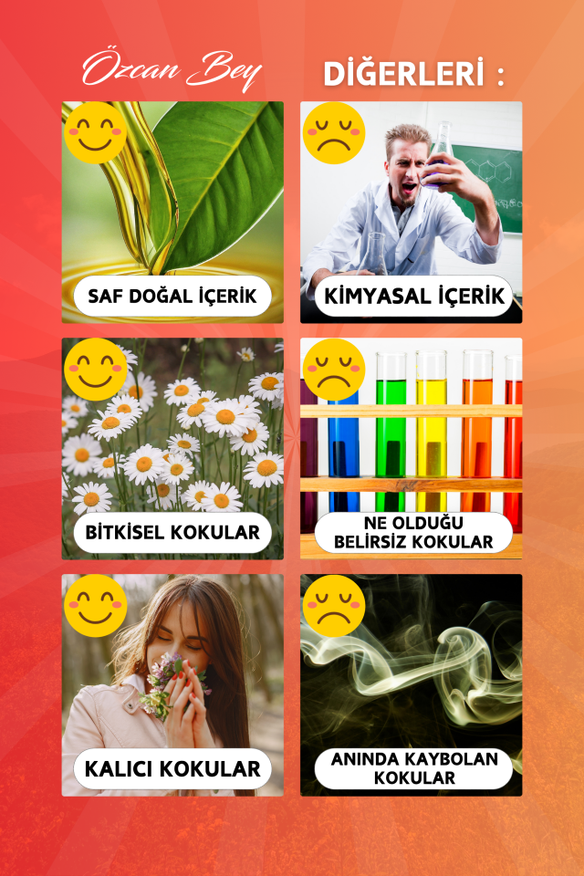 Yaz Avantaj Seti Saf Esansiyel Uçucu Yağ Buhurdanlık Yağı Difüzör Esansı Aromaterapi 6x 10ml