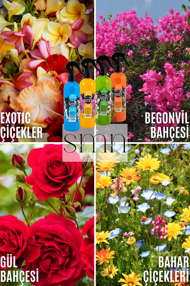 Favori 4'lü Set Oda Spreyleri Avantaj Paketi Begonvil + Exotic + Gül + Bahar Air Freshener 4 x 350ml