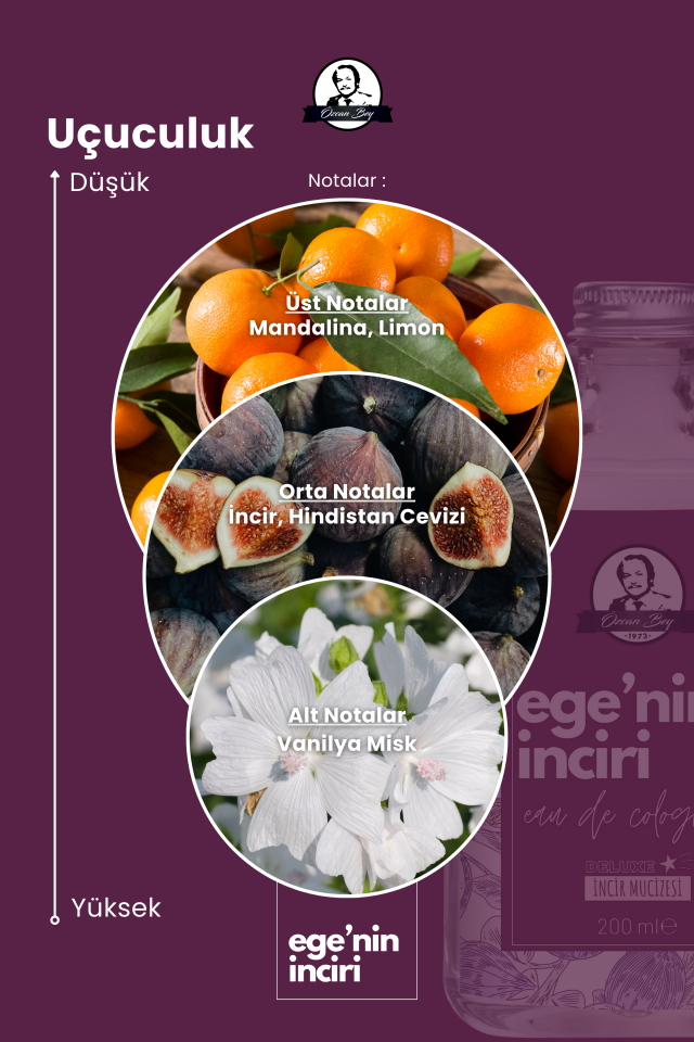 Deluxe Seri Ege'nin İnciri Kolonyası Parfümlü İncir Çiçeği Kokulu Kolonya Takımı 200ml + 100ml